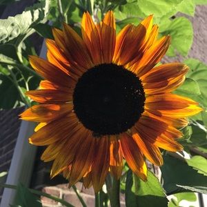 Meet your Posher, Beate